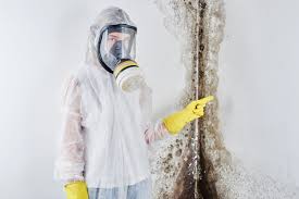 Best Attic Mold Removal  in Mays Chapel, MD